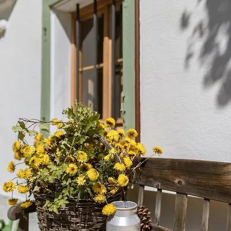 Bauernhaus-schloss Wagrain エープス