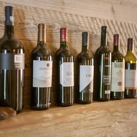 Bauernhaus-schloss Wagrain カントリーハウス *