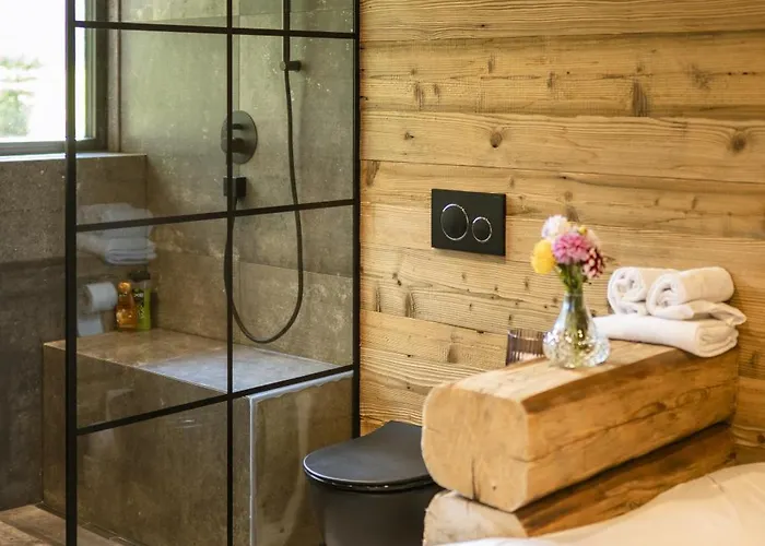 Bauernhaus-schloss Wagrain *